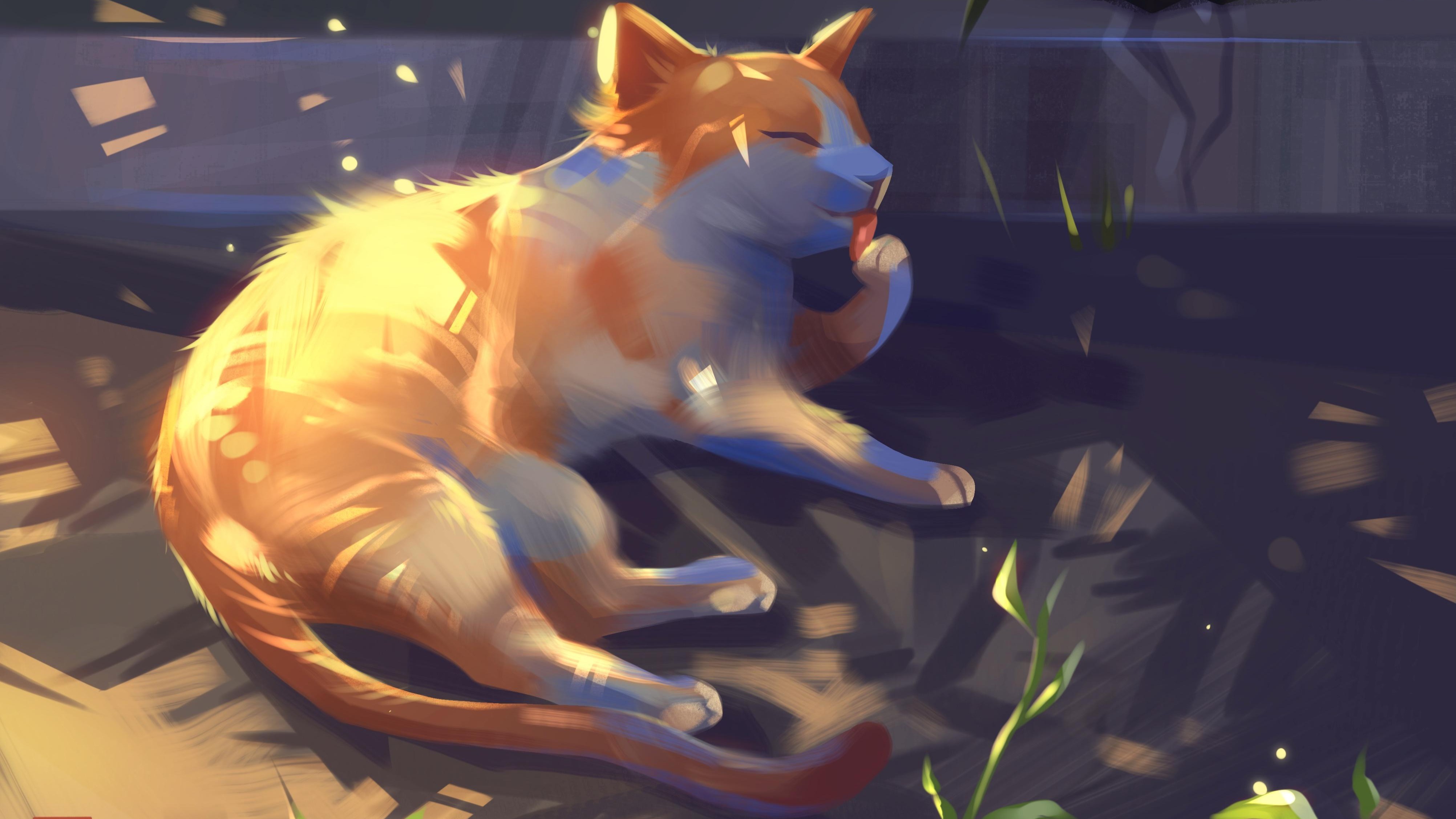 Xây nhà trọn gói